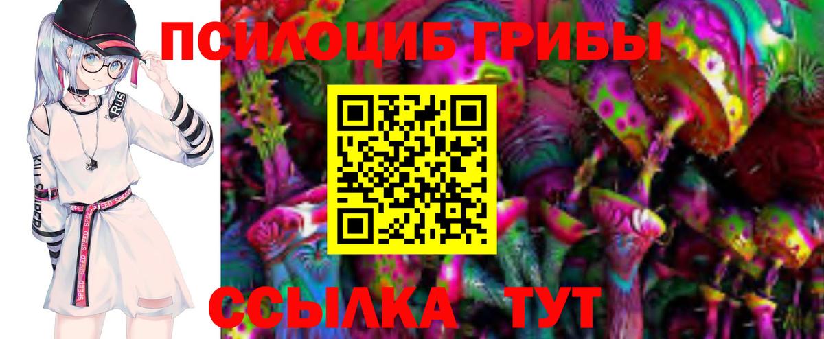 Псилоцибиновые грибы мицелий  сколько стоит  Мурино  Вход с VPN 